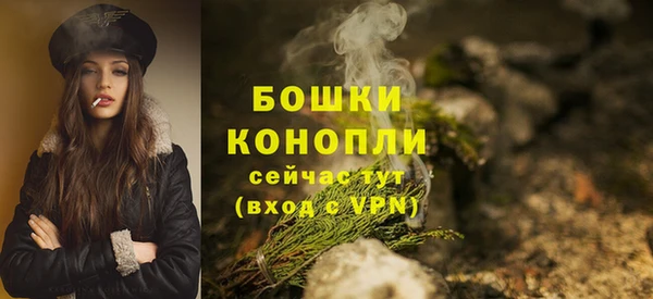 сатива Балабаново