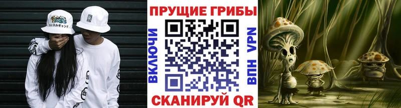 Галлюциногенные грибы Magic Shrooms  закладка  Тимашёвск 