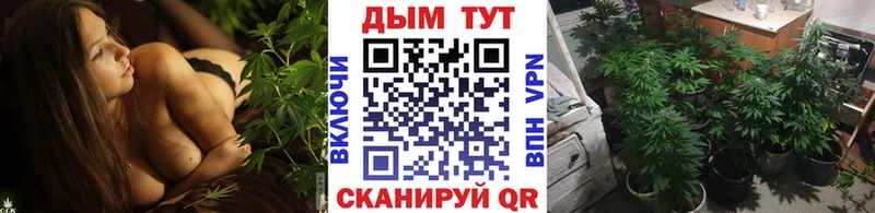 Марихуана THC 21%  продажа наркотиков  Тимашёвск 